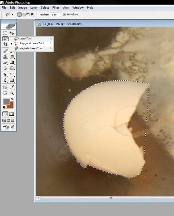 Creation of Egg Lover: Step 2